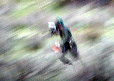 005.JPG