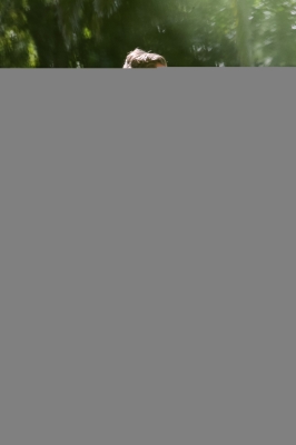 Click to view full size image
==============
058.jpg 058.jpg