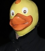 008.jpg