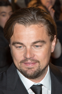 113.jpg