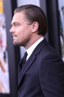 Click to view full size image
==============
070.jpg 070.jpg