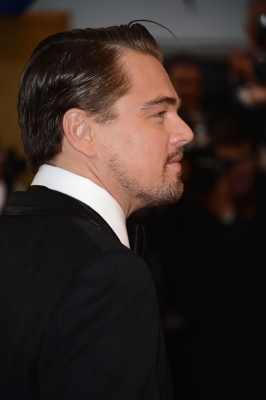 Click to view full size image
==============
382.jpg 382.jpg