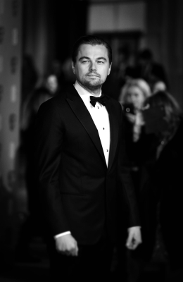 Click to view full size image
==============
091.jpg 091.jpg