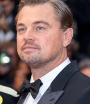 536.jpg